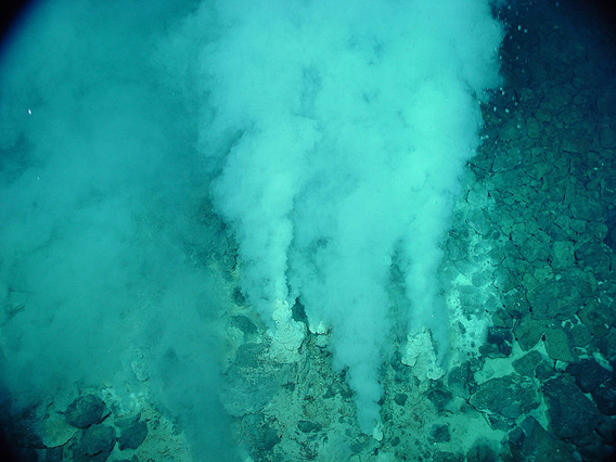 Hydrothermal vent in the  Marianas Trench. Life on hydrothermal vents were not discovered until the late 1970s. Decades later, much remains unknown about these vents and many of them remain unexplored. Photo by: NOAA.