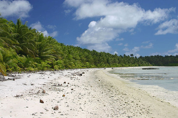 Beach on Palmyra Atoll.