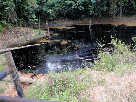  A recent spill in a lake in Oil Block 1-AB from August 27 2010. Photo courtesy of: Amazon Watch 