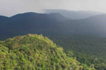 Banana plantation threatens rainforest valley (video)