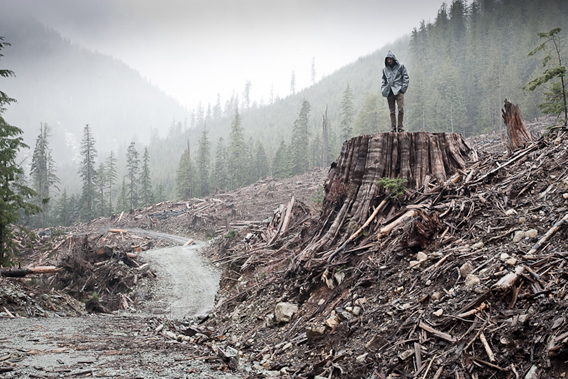 This has become Watt's most popular and widely viewed photo to date. It was taken on a foggy February day in a haunting clearcut near the Avatar Grove. It has since been printed in multiple books, magazines, and museums and was recently awarded second place in the International Conservation Photography Awards 'Natural Environment at Risk' category. Photo by: T.J. Watt.