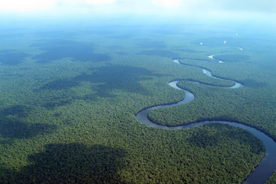 Aerial view of Congo Basin rainforest in Equateur Province, DR Congo. Photo courtesy of: Ingrid Schulze.