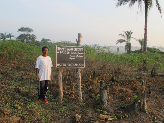 Agroforestry project. Photo courtesy of: Ingrid Schulze.