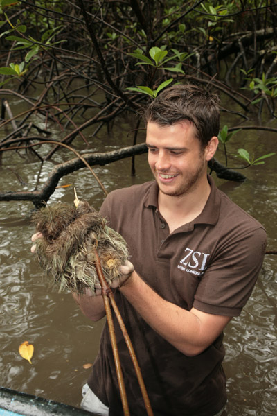 David Curnick com a mais pequena preguiça do mundo. Foto cortesia de ZSL.'s smallest sloth. Photo courtesy of ZSL.