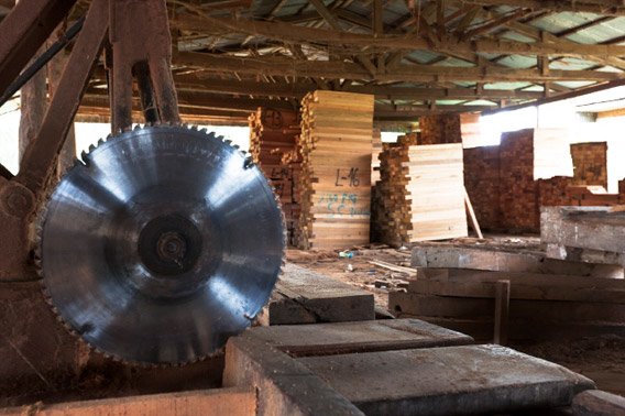 The EIA team visit a saw-mill that processes cedar and other timbers from the Loreto Forest. Photo by Toby Smith/EIA.