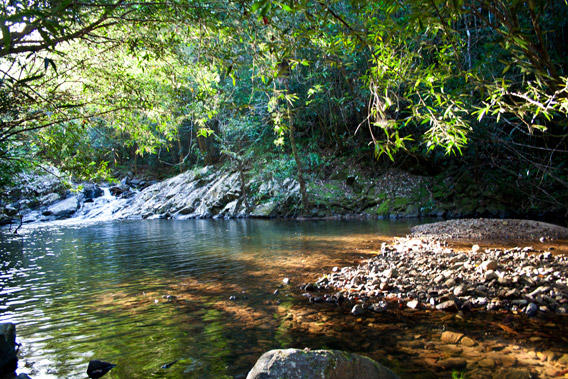 Fontsimavo River in Betampona. Photo by: Gonçalo M. Rosa.