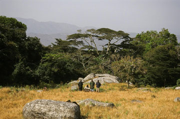 Edge of Ngel Nyaki forest. Photo courtesy of: Hazel Chapman.      
