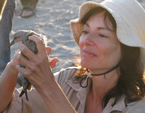 Patricia Gonzalez with a rufus red knot. Photo by: Guy Morrison.