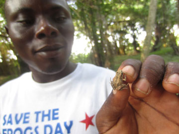 Gilbert Baase Adum with a frog.