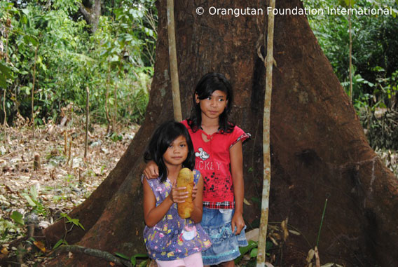  Local girls holding a cempadak fruit under a durian tree. Photo courtesy of Orangutan Foundation International.