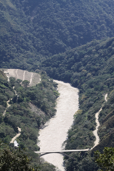 This forest will be flooded by the Pescadero-Ituango dam. Photo by: Carlos Esteban Lara.