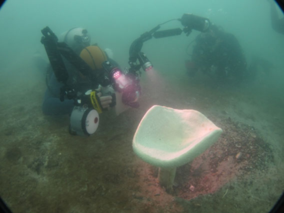 DHI and the National University of Singapore biologist taking a closer look at one of the young Neptune’s Cup sponges. Photo courtesy of DHI Group.