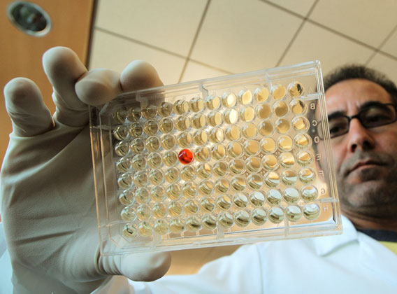 Scientist checks out possible positive markers during experiment. Photo by: Joseph Dovala.