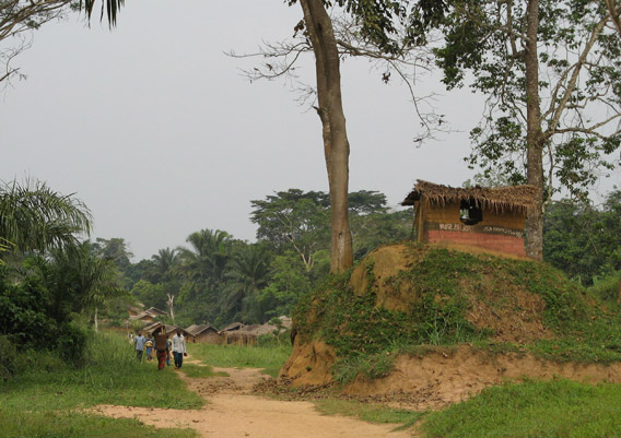 Village in the Kokolopori Bonobo Reserve. Shelter on right houses a talking drum, still used for long distance communication. Photo courtesy of: Ingrid Schulze.