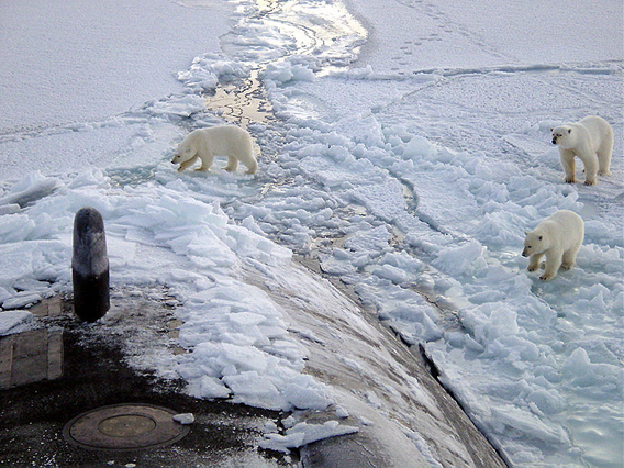  Not long ago such an image would have been impossible, but here polar bears meet a US attack submarine. US Navy Photo by: Chief Yeoman Alphonso Braggs, US-Navy.