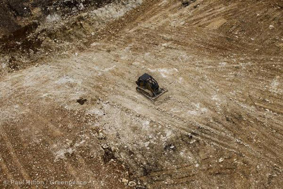 A bulldozer rumbles over a recently deforested area in Pomio District, East New Britain, Papua New Guinea. Photo by: Paul Hilton/Greenpeace.