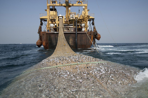 The Afrika Super Trawler. Photo by: Pierre Gleizes/Greenpeace.