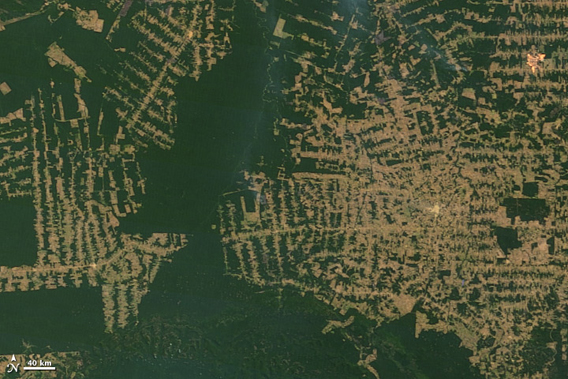  Top image shows deforestation in Brazil's western state of Rondônia in 2000. Bottom image shows deforestation as of 2010. Images courtesy of NASA ..