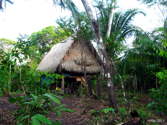 Cabana construída com materiais da floresta nos campos base. Foto por: Arbio.
