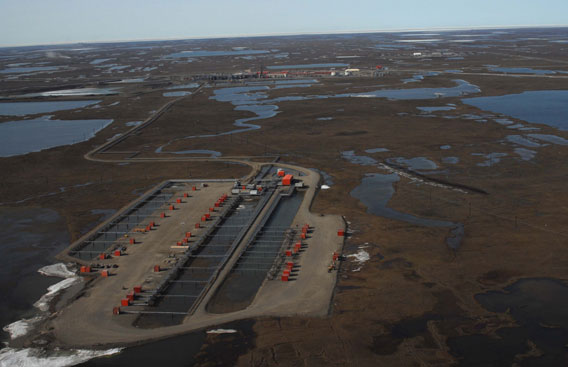 Oil fields of Prudhoe Bay.  Photo credit: Steve Zack/WCS.