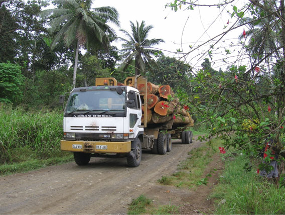 Timber truck in New Guinean forest. Photo: M. Hudson.