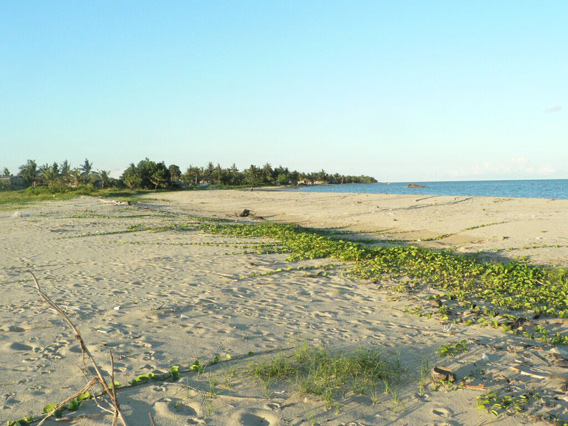  The beachside site of the now canceled coal-fired power plant in Kampung Sinakut, Lahad Datu, Sabah.  Photo courtesy of Green SURF 