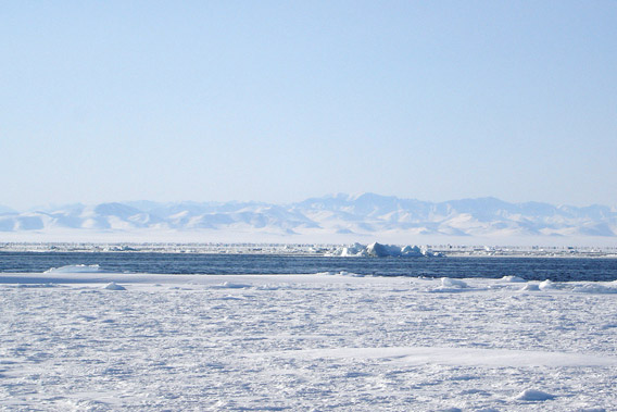 Arctic Ice Pack, Beaufort Sea