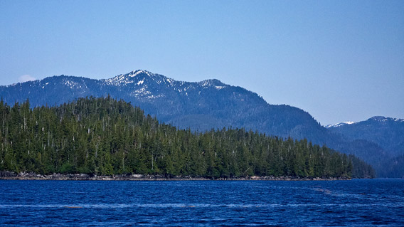 Tongass temperate rainforest.