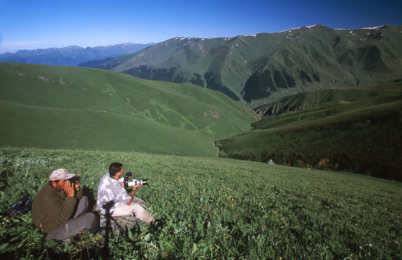 Birdwatching in Turkey for the Caucasian Grouse in the Kackar Mountains, Sivrikaya, Rize, Turkey. Cagan Sekercioglu on the right. Photo courtesy of: Cagan Sekercioglu.