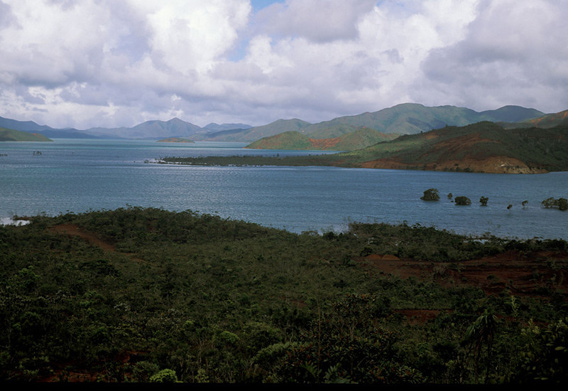  New Caledonia is one of the smallest hotspots in the world. Today, only five percent of its original habitat remains. Photo: © Conservation International/ Photo by Bruce Beehler.