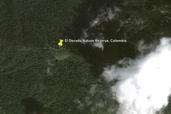  Forest landscape of El Dorado Nature Reserve in the Santa Marta mountain reserve. Image courtesy of Google Earth.