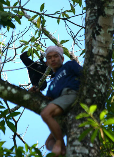 Chasing the gibbon in the tree. Photo by: Dipankar Bhagawati.