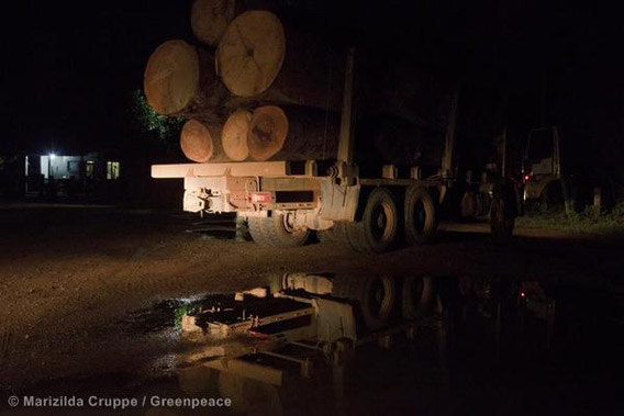 A truck loaded with wood in the municipality of Tucurui. A region with many charcoal camps that use Amazon timber to make the wood charcoal that fuels pig iron blast furnaces. Photo by: Marizilda Cruppe/Greenpeace.