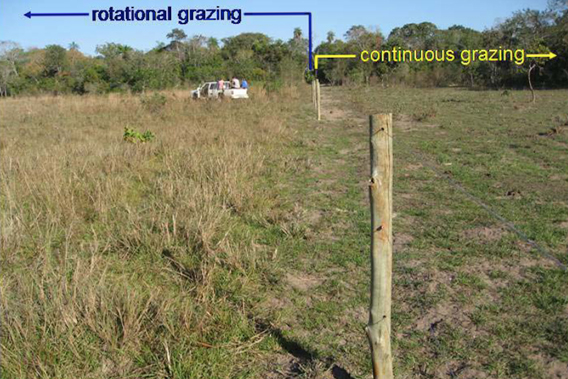  Continuous versus rotational grazing. Photo courtesy of: Eaton, D. P., Santos, S. A., Santos, M. C. A., Lima, J. V. B. and Keuroghlian, A. 2011. Rotational Grazing of Native Pasturelands in the Pantanal: an effective conservation tool. Tropical Conservation Science. Vol. 4 (1):39-52.