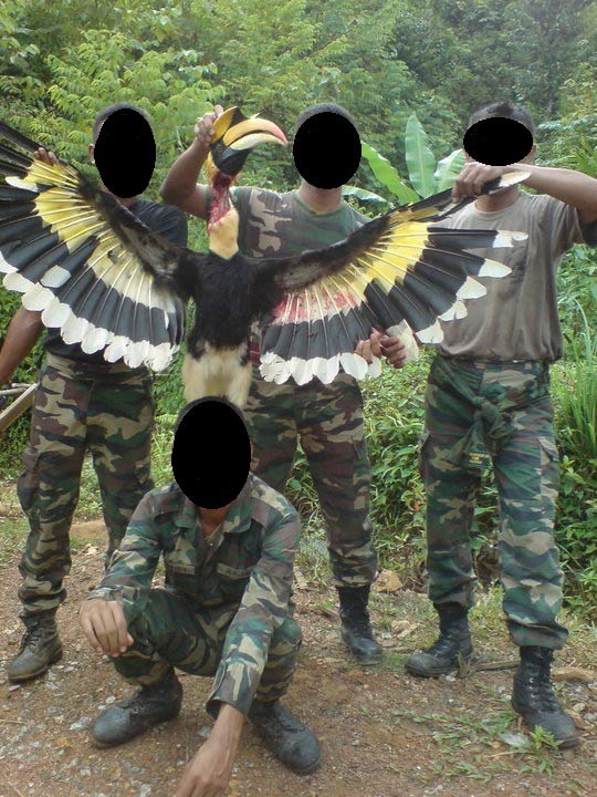 Photo in question: four men pose with slaughtered great pied hornbill.