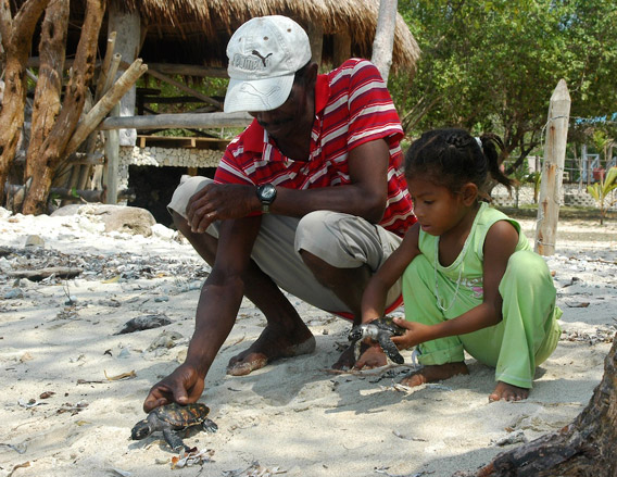 Releasing baby sea turtles on Isla Fuerte. Photo courtesy of: Miguel Hernandez.