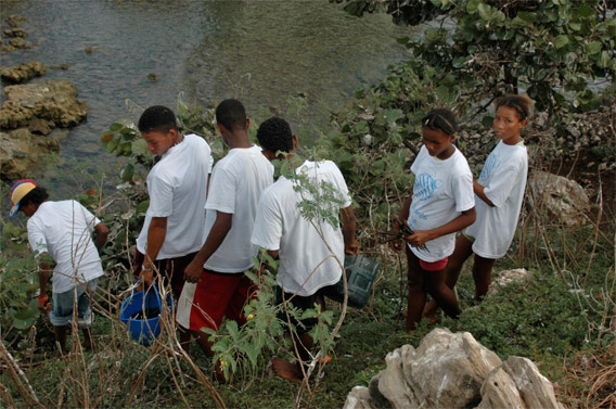 Students working on reforestation.  Photo courtesy of: Miguel Hernandez.