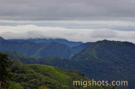 Above 2000 meters. Photo by: Miguel Hernandez.