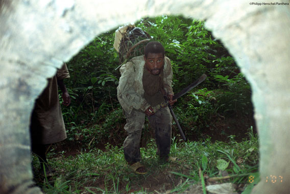 Camera trap hidden in log takes photo of bushmeat hunter. Photo by: Philipp Henschel/Panthera. 