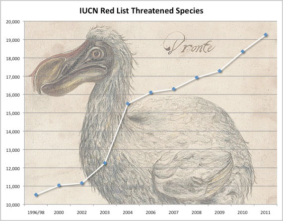 Over 900 species added to endangered list during past year