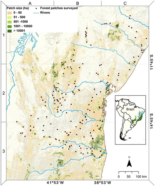 Dots show surveyed patches of forest across the Atlantic Forest. Map courtesy of paper.