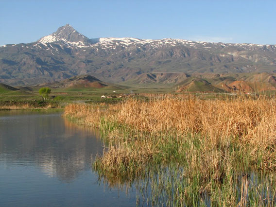 Cagan Sekercioglu describes the Kars region of Turkey 'as reminiscent of Montana, Wyoming or Colorado'. Photo by: Cagan Sekercioglu.