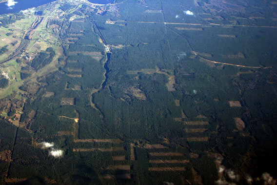 Aerial view over Latvian forests—please note almost all cutting patches are fresh, not yet regenerated. Photo by: R.Matrozis, 2007.