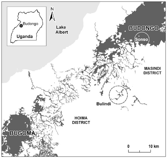 Map shows location of Bulindi Forest in Uganda.