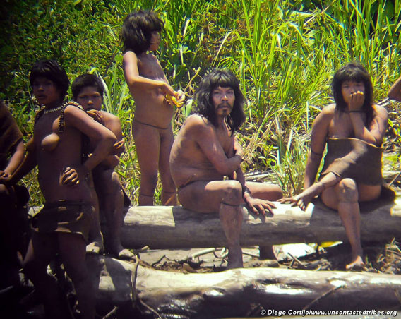 According to Survival International these are most detailed photos ever taken of the isolate Mashco-Piro tribe in Manu National Park, Peru. Photo courtesy of Survival International.
