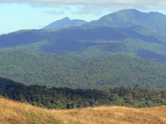 Haling-Halang and the barrier mountains separating Cambodia and Laos as seen from the Veal Thom grasslands, a place few outsiders have ever seen. Could tigers, Javan rhinos, or saola live in these mountains? No one knows. Photo by: Greg McCann.