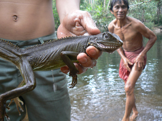 Brao villagers hold out a water dragon on the O-Pong River, Virachey. Photo by: Greg McCann.