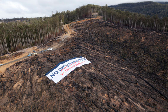  Banner at clear cut in Tasmania. Photo by: Rob Blakers.