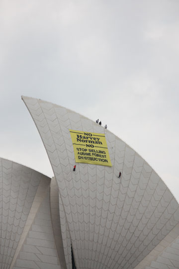 Activists scale Sydney Opera to hang banner calling out Harvey Norman retail chains for alleged forest destruction. Photo by: Charlotte Buckton.