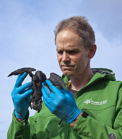 Central North Island Field Officer, Al Fleming inspects an unidentified dead bird. Photo: Kim Westerskov.